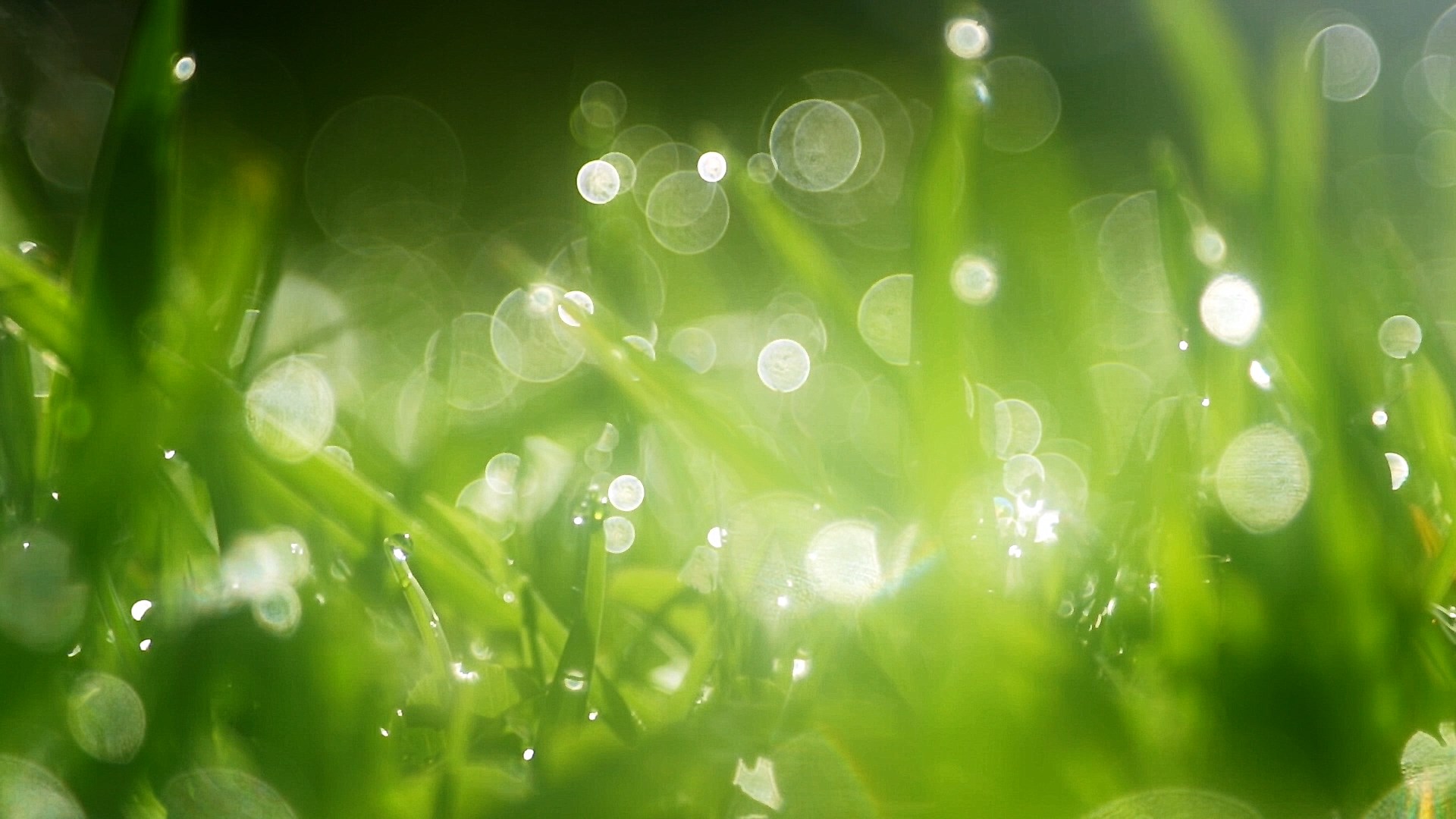 God's work,God's judgment