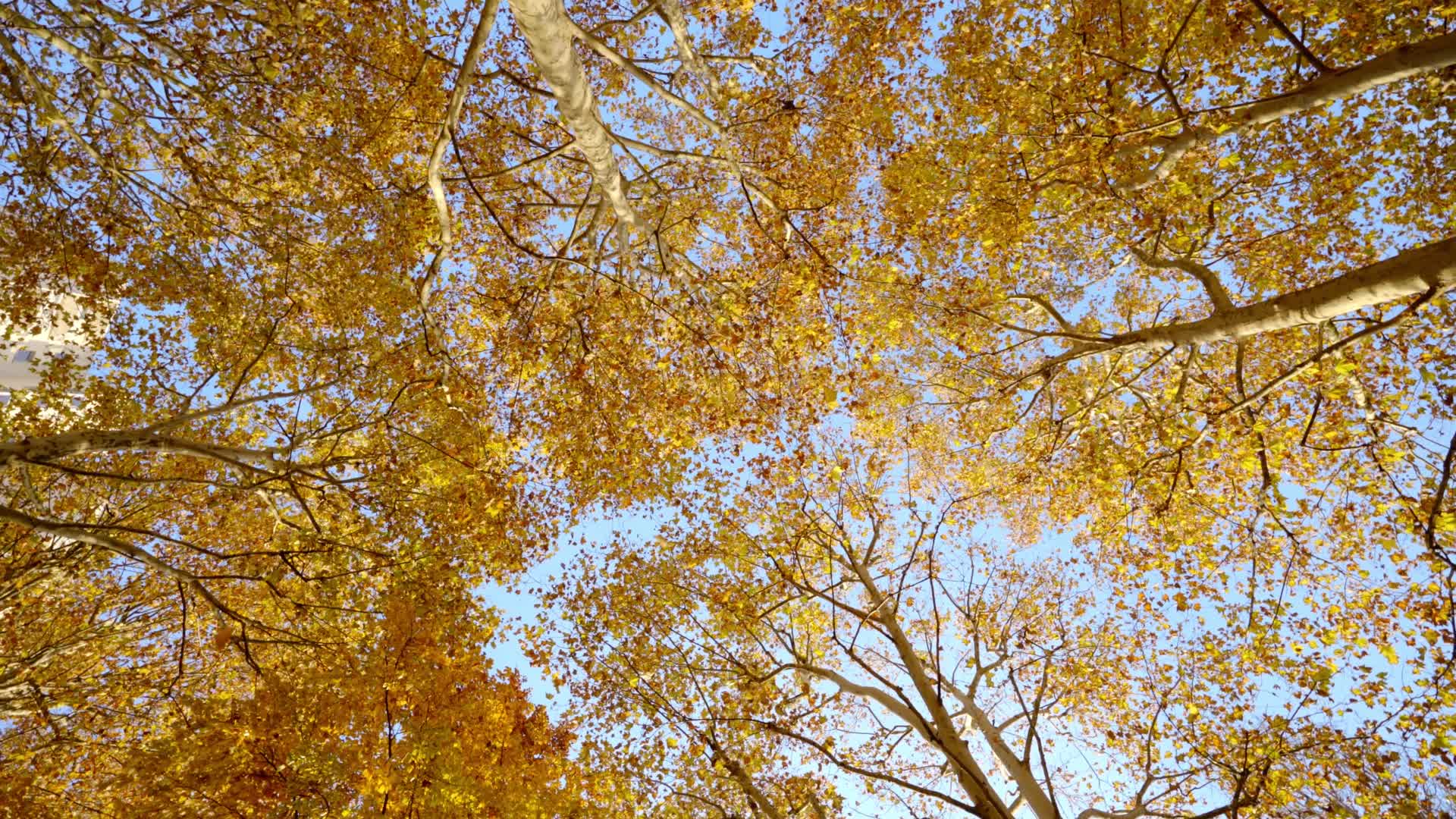 Testifying to God,Life Experiences