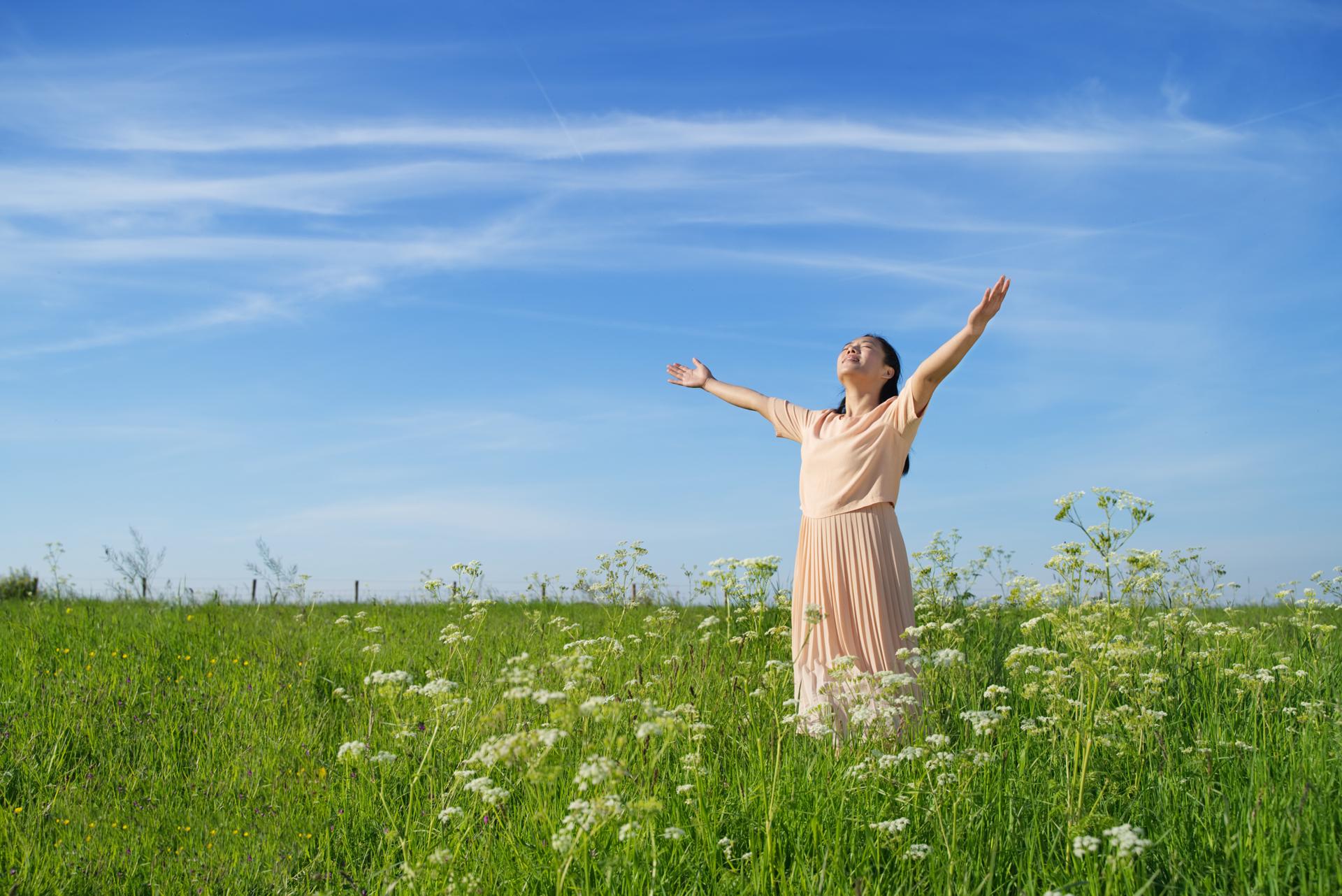 God's judgment,God's work