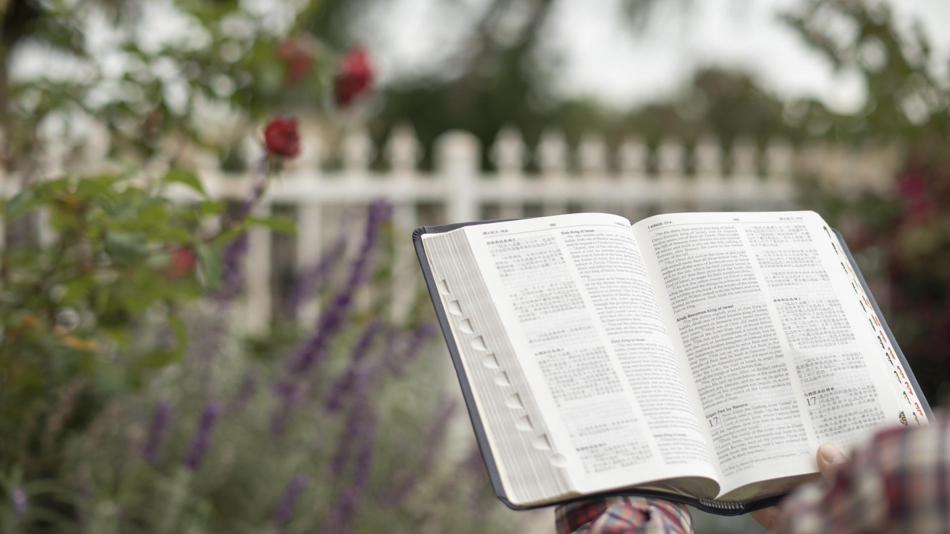 God's judgment,God's work